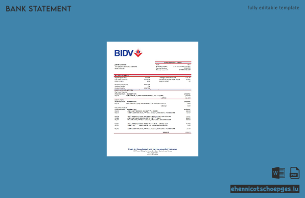 Beispiel für einen Kontoauszug der vietnamesischen BIDV (Bureau of Indian Development V)